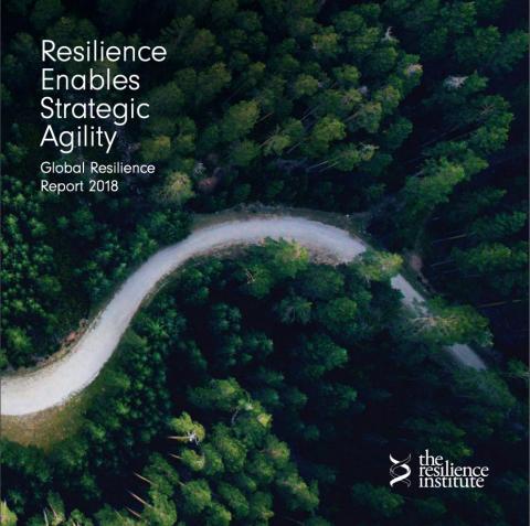 resilience institute