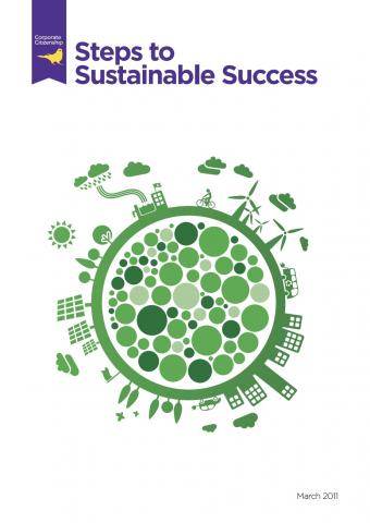 steps to sustainable success
