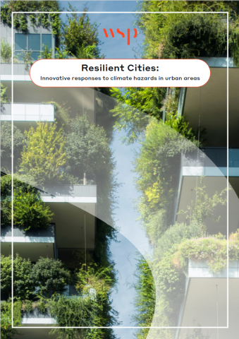 Resilient Cities Handbook